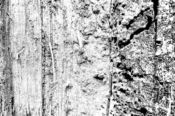 Termite Pattern Wood — Stock Photo, Image