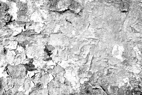 Fondo Grunge Abstracto Textura Monocromática Fondo Texturizado Blanco Negro — Foto de Stock