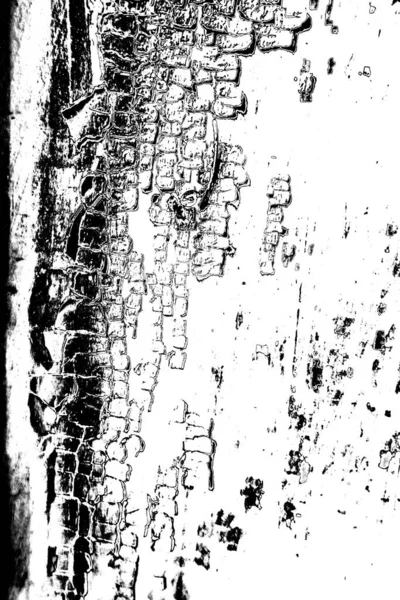 Fondo Grunge Abstracto Textura Monocromática Fondo Texturizado Blanco Negro — Foto de Stock