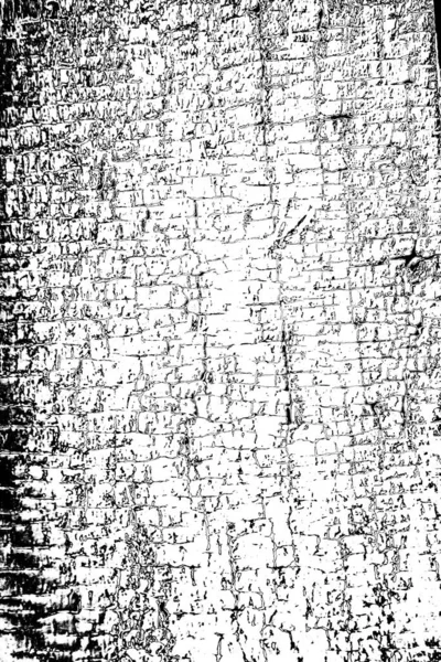 Fundo Grunge Abstrato Textura Monocromática Preto Branco Texturizado Fundo — Fotografia de Stock