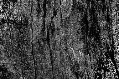 Soyut ahşap doku arkaplanı, koyu duvar kağıdı