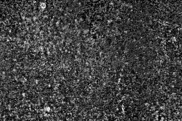 Soyut arkaplan. Monokrom dokusu. Siyah ve beyaz desenli arkaplan.      