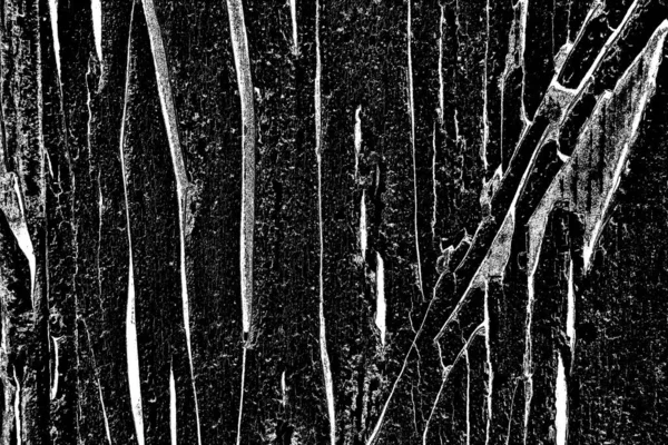 Contexte Abstrait Texture Monochrome Fond Texturé Noir Blanc — Photo