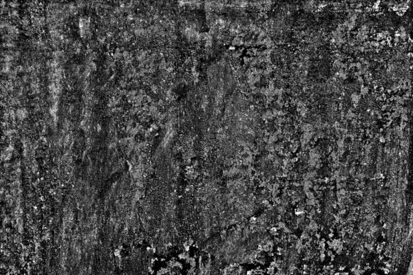 Abstract Background Monochrome Texture Black White Textured Background — Stock Photo, Image