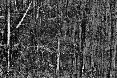 Soyut grunge arkaplanı. Monokrom dokusu. Siyah ve beyaz desenli arkaplan