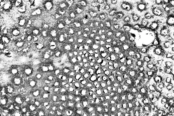 Абстрактный Гранж Фон Монохромная Текстура Черно Белый Текстурированный Фон — стоковое фото