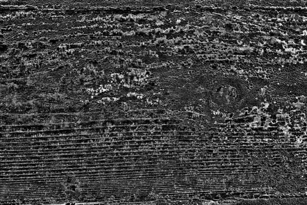 Fondo Grunge Abstracto Textura Monocromática Fondo Texturizado Blanco Negro — Foto de Stock