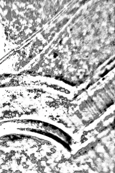 Fundo Grunge Abstrato Textura Monocromática Preto Branco Texturizado Fundo — Fotografia de Stock