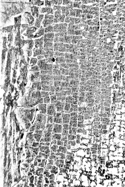 Fondo Grunge Abstracto Textura Monocromática Fondo Texturizado Blanco Negro — Foto de Stock