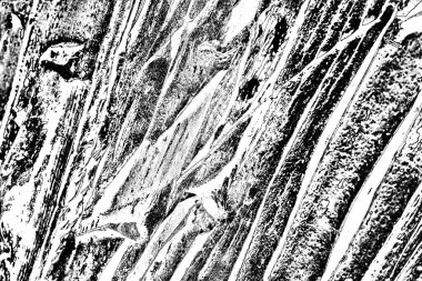 Soyut grunge arkaplanı. Monokrom dokusu. Siyah ve beyaz desenli arkaplan