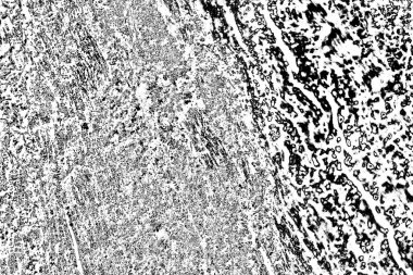 Soyut grunge arkaplanı. Monokrom dokusu. Siyah ve beyaz desenli arkaplan