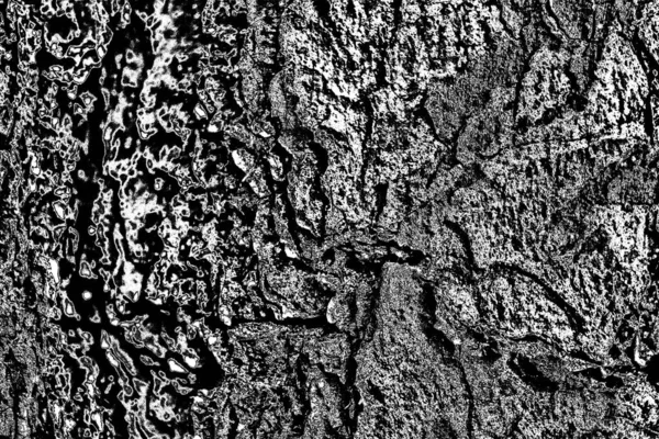 Abstracte Grunge Achtergrond Monochrome Textuur Zwart Wit Textuur Achtergrond — Stockfoto