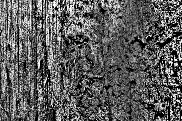 Termite Pattern Wood — Stock Photo, Image