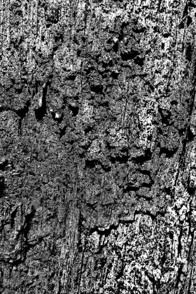 Termite Pattern Wood — Stock Photo, Image