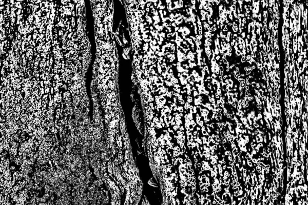 Fondo Grunge Abstracto Textura Monocromática Fondo Texturizado Blanco Negro —  Fotos de Stock