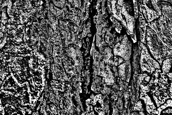 Sfondo Astratto Grunge Struttura Monocromatica Bianco Nero Sfondo Strutturato — Foto Stock