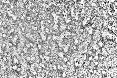 Soyut grunge arkaplanı. Monokrom dokusu. Siyah ve beyaz desenli arkaplan