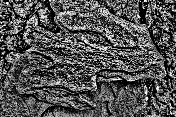 Résumé Fond Grunge Texture Monochrome Fond Texturé Noir Blanc — Photo