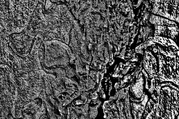 Fundo Grunge Abstrato Textura Monocromática Preto Branco Texturizado Fundo — Fotografia de Stock