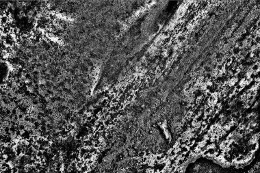 Soyut grunge arkaplanı. Monokrom dokusu. Siyah ve beyaz desenli arkaplan