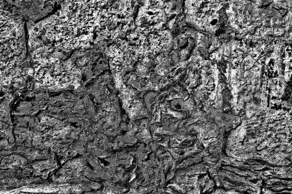 Fondo Grunge Abstracto Textura Monocromática Fondo Texturizado Blanco Negro — Foto de Stock