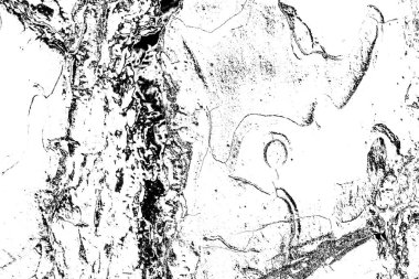 soyut siyah beyaz ahşap arkaplan