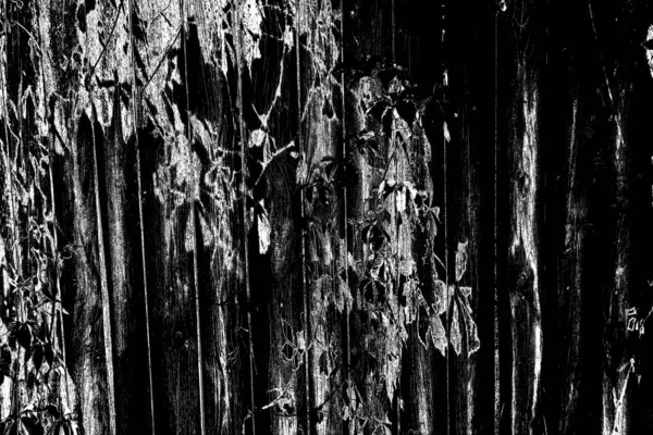 Абстрактний Чорно Білий Дерев Яний Фон — стокове фото