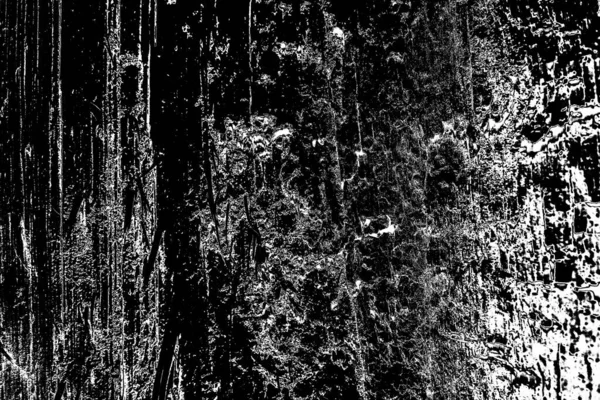 Termitový Vzor Dřevě — Stock fotografie