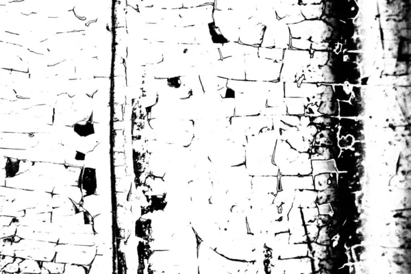 นหล าและส ขาว โมโนโครม — ภาพถ่ายสต็อก