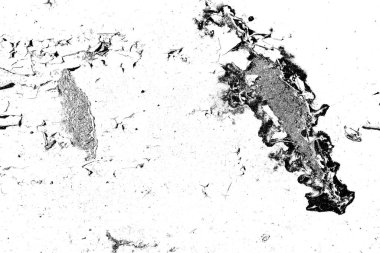 Soyut grunge arkaplanı. Monokrom dokusu. Siyah ve beyaz desenli arkaplan