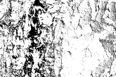 soyut siyah beyaz ahşap arkaplan