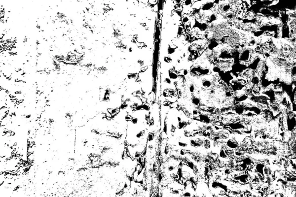 Μοτίβο Τερμίτη Ξύλο — Φωτογραφία Αρχείου