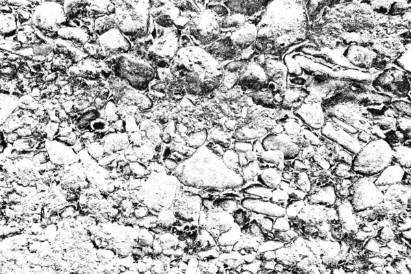 Abstract Grunge Background Concrete Wall Texture Black White Textured Background — Stock Photo, Image