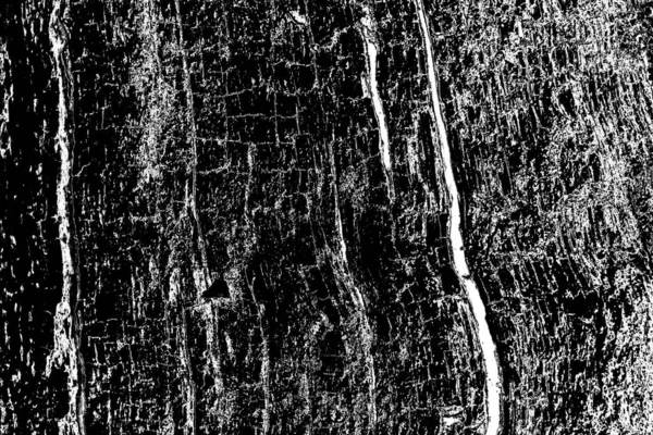 Abstrait Fond Bois Noir Blanc — Photo