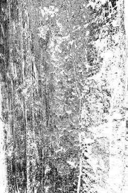 Tahtadaki termit deseni