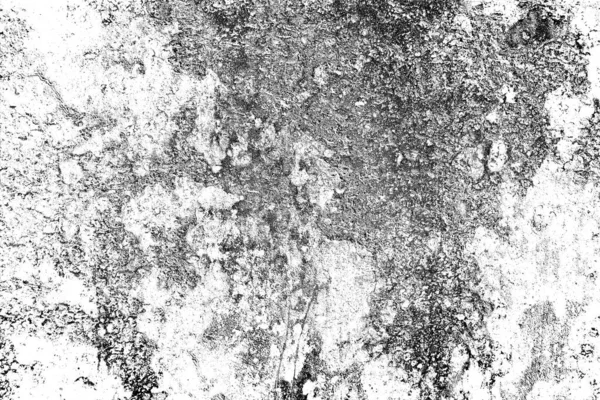 Abstract grunge background. Black and white textured background