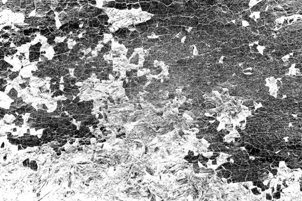 Abstract grunge background. Black and white textured background