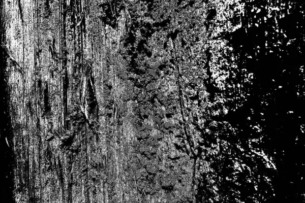 Термитный Рисунок Дереве — стоковое фото