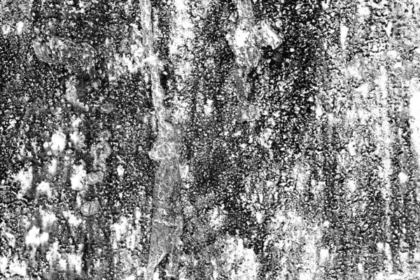 Abstract grunge background. Black and white textured background