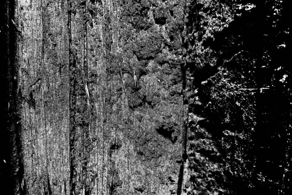 Термітовий Візерунок Дереві — стокове фото