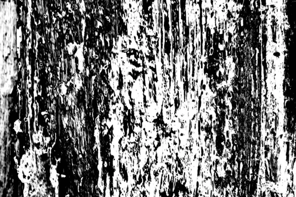 Абстрактний Чорно Білий Текстурований Фон Монохромна Текстура — стокове фото