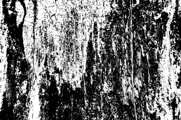 Fond Texturé Abstrait Noir Blanc Texture Monochrome — Photo