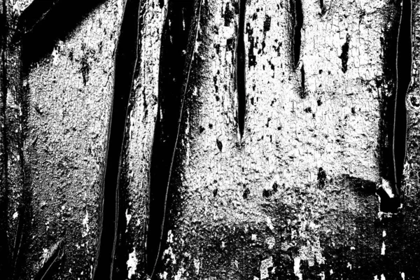 Fondo Grunge Abstracto Textura Monocromática Fondo Texturizado Blanco Negro — Foto de Stock