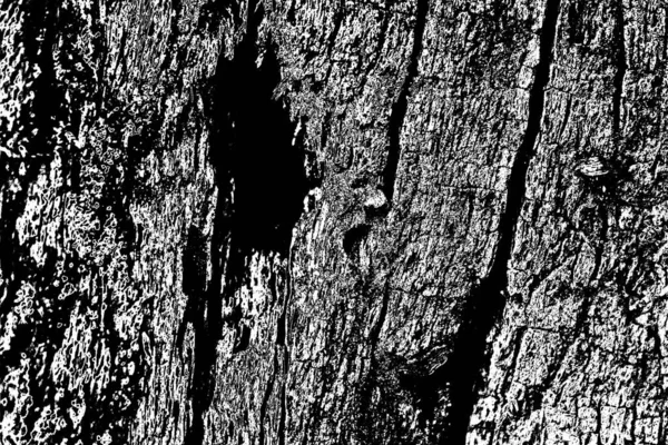 Abstrakter Schwarzer Und Weißer Holzgrund — Stockfoto