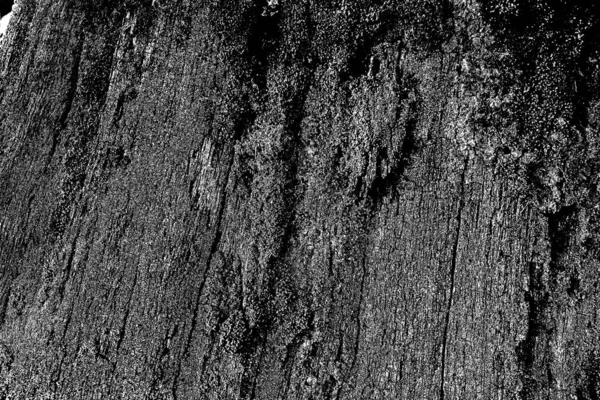 Abstrakcyjny Czarny Biały Drewniane Tło — Zdjęcie stockowe
