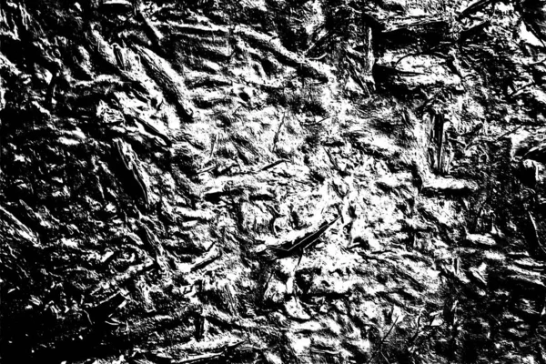 Résumé Fond Grunge Texture Monochrome Fond Texturé Noir Blanc — Photo