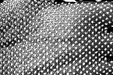 Soyut arkaplan. monokrom dokusu. resim siyah ve beyaz tonları içerir.