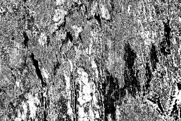 Fondo Grunge Abstracto Textura Monocromática Fondo Texturizado Blanco Negro —  Fotos de Stock