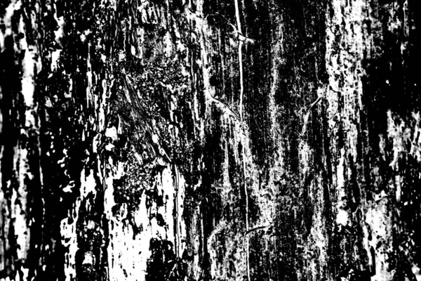 Fondo Grunge Abstracto Textura Monocromática Fondo Texturizado Blanco Negro — Foto de Stock