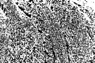 Soyut grunge arkaplanı. Monokrom dokusu. Siyah ve beyaz desenli arkaplan